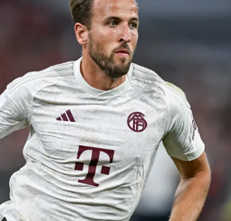 他们可以放 他们可以放