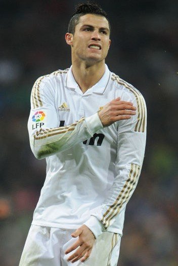 参照是近年 参照是近年