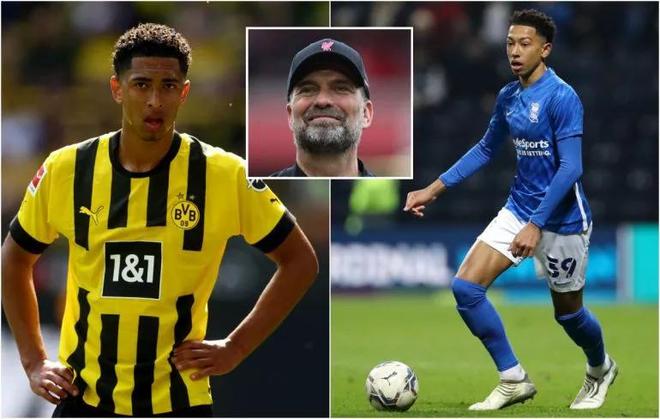 信息密度拉 信息密度拉