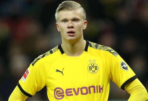 林基组建 林基组建